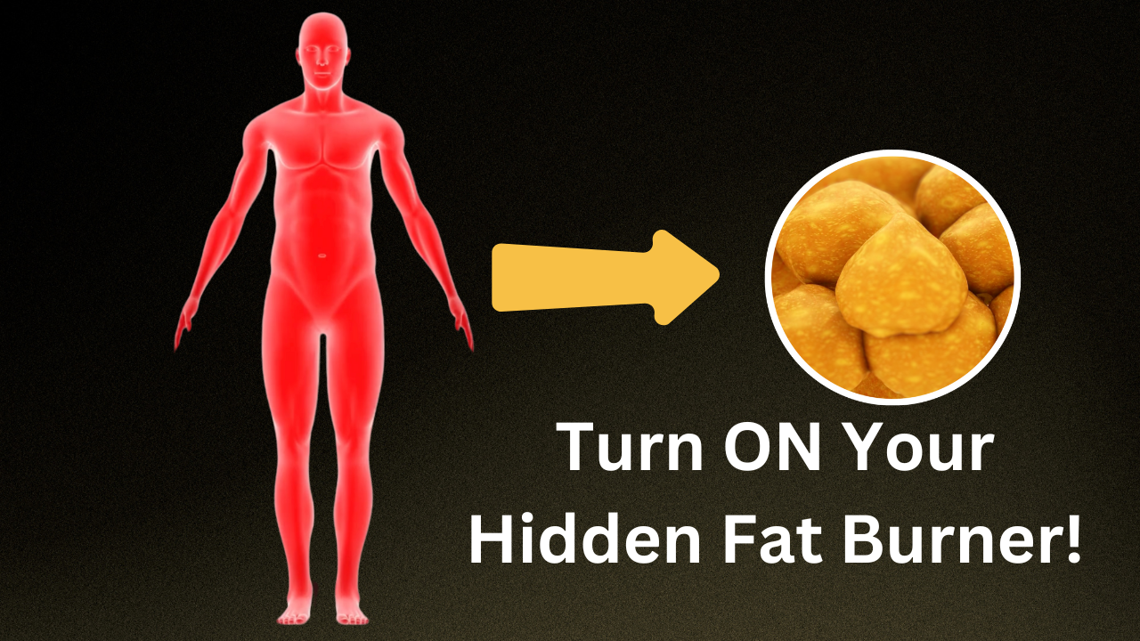 Why Your Hormones Are Making It Hard to Lose Belly Fat (And How to Fix It Naturally)